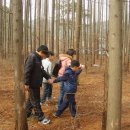 효탑초등학교 이미지