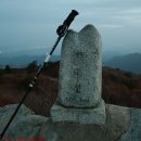 콩각시 농원 이미지