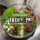 동대신1동 주민센터 | 부산테라리움 공방 제이드앤 원데이클래스