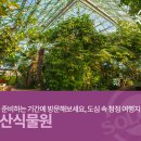 힐링솔가 이미지