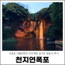 (야간) 퇴근길 미술관 산책 | 서귀포 가볼만한곳 제주 천지연폭포 야간개장 실시간 점등식 후기