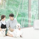 신도림동물병원 이미지