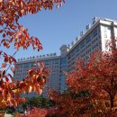 백석대학교 이미지