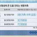 등골 이미지