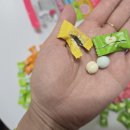 도라오라 | 샤오커오라 사탕 시즌2 맛 8종 비교 후기 시즌1 패키지와 차이점 정리
