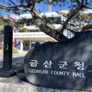 꼼작 국제뉴스