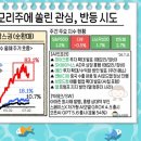 칸느99 | [미국주식 시황] 26년 7월 12일 소수몽키 라이브 (feat SK하이닉스 ADR 수급 블랙홀 끝, 메모리 반등...