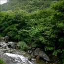 사나사 - 1160 | 사나사
