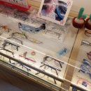 이미지안경콘택트 이미지