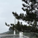 만두쟁이의 하루 | 제주도 뚜벅 여행 3-4일차 교훈: 만두쟁이와 진아떡집 안 가면 손해다.