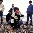 오아시스 이미지