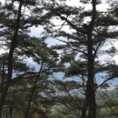 감나무집공할머니민박 이미지