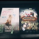 참한메디 | #5 ~ 7 : 찰리, 뱀파이어 헌터, 팬텀 [건대 방탈출]