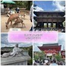 그릇나라 - 동구 화랑로25길 1 | 일본 오사카 근교투어 나라교토우지 버스투어 추천 여행한그릇 내돈내산 후기