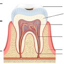 손강하치과의원 이미지