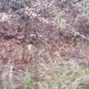 사량초등학교읍덕분교장 이미지