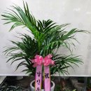 현대자동차 신평점 이미지