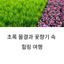 작약꽃펜션 | 초록 물결과 꽃향기 속 힐링 여행, 함안 청보리와 작약의 계절