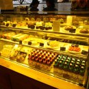 카페라인 이미지