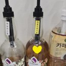 가배365
