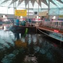 자유로레저낚시터 이미지