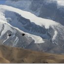 하이웨이스타 이미지