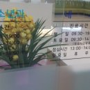 미래소아과의원 이미지