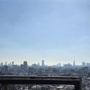 도쿄 혼여_Day3-4 : 토시마구청ㅣ도쿄대 은행나무ㅣ카메노코 수세미ㅣ알몬트호텔 닛포리ㅣSac&#39;s Bar 포터