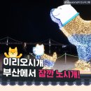 부산 핫플레이스 여행(설연휴 부산 알차게 즐기는 법!) 이미지