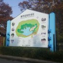 나비공원 농구장