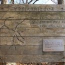 천주산 등산 도로변 이미지