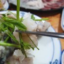 엉터리막썰이