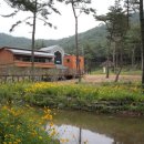 중앙해독센터 이미지