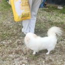 망인당고택민박 | 담양 여행 숙소 망인당 고택에서의 힐링