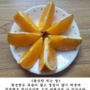 맛있는 서귀포 노지황금향 판매합니다. 이미지