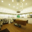 드림인삼송의원 이미지