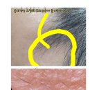 쁘띠헤어샾