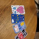 케이레슬링 MMA체육관 이미지