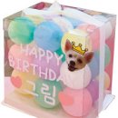 멍멍이와 야옹이 이미지