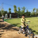 현중어린이공원 이미지