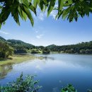 대구역 관광통역안내소 이미지