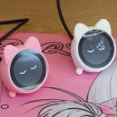 H-080 | 펀키스 용산 타건샵 방문 후기! 최신 키보드와 마우스 정리!