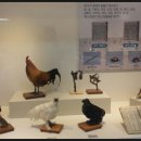 흙살림 동일한의원 이미지