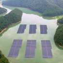 소나무 태양광발전소 이미지