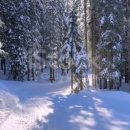 初雪の降った夜 （첫눈 오던 밤）／逸泉 이미지