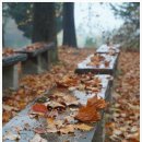 여주자영농업고등학교 이미지