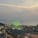 코스모스나이트 - 보은군 법주사로 258-13 | [일본호텔/오사카호텔] OMO 간사이공항 by 호시노 리조트