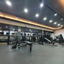 지니피트니스 이미지