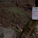 현충탑진입로 | 🍁 가을 일몰을 보며 오른 하남 검단산 (현충탑 코스)