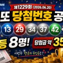 🎉 제1229회 로또 6/45 당첨번호 공개! 1등 8명 탄생 💰 이번 주 로또 분석과 다음 회차 전망 총정리
